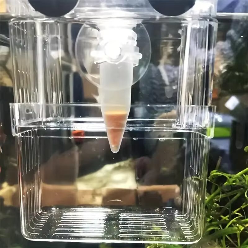 อาร์ทีเมีย ฟอกเปลือก ให้ปลากินได้ทันที อาหารปลาแรกเกิด อาหารปลากัดแรกเกิด อาหารปลาหางนกยูง