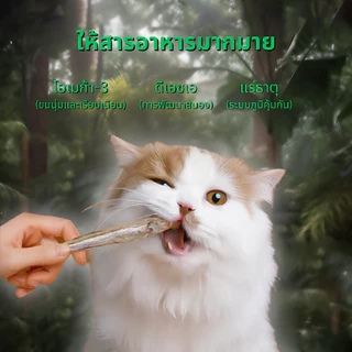 CatHoliday ไบต์ออฟไวด์ ฟรีซดราย Bite of wild Freeze Dried ไม่ปรุงรส โปรตีนสูง ขนาด 40g.