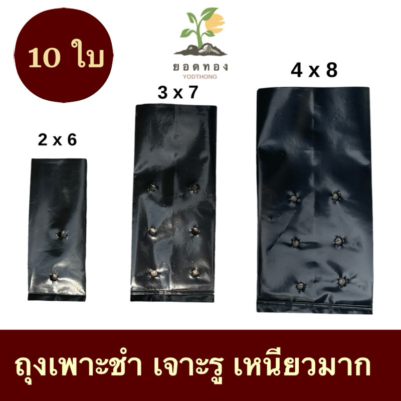 ส่งด่วน Yodthong.Farm ถุงเพาะชำ ถุงปลูกผัก เจาะรู เพาะกล้า ถุงปลูกต้นไม้ เหนียวมาก แบบชุด 10 ใบ