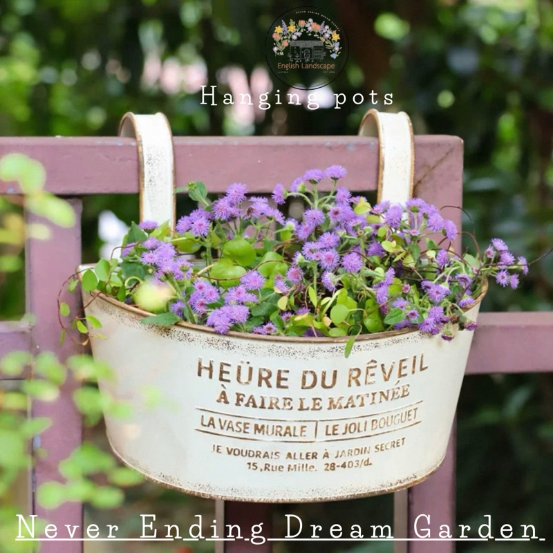 Hanging pots กระถางแขวนตกแต่ง