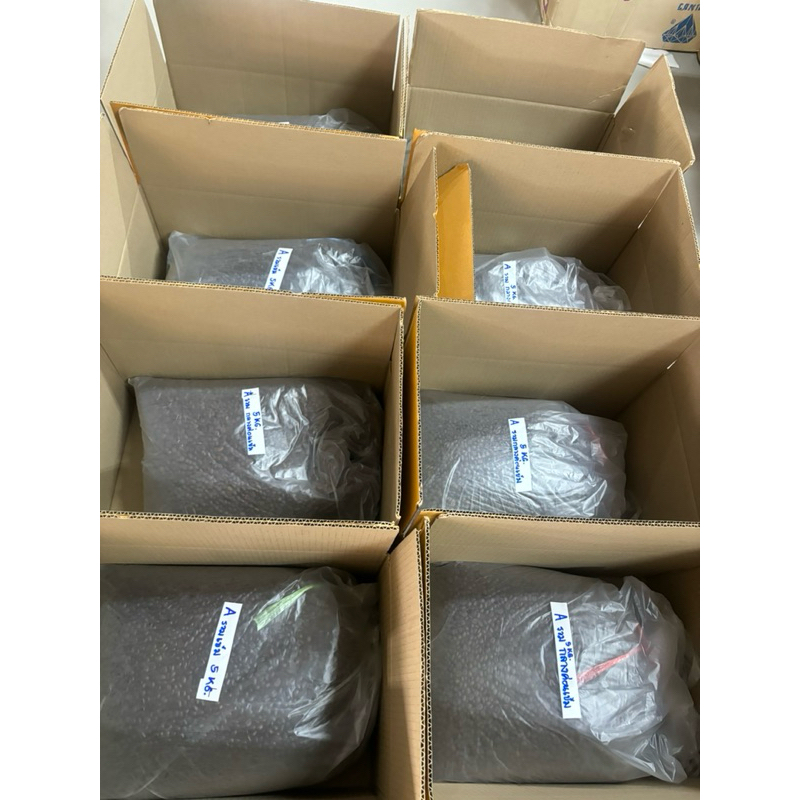 เมล็ดกาแฟดอยช้าง  ลดต้นทุนร้านค้า (ขนาดบรรจุ 5 kg. ) - รูปที่ 2