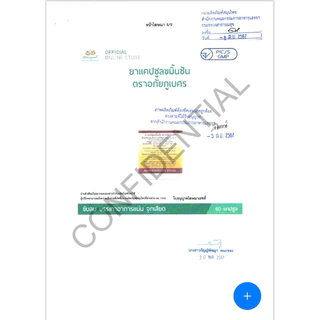 ขมิ้นชัน อภัยภูเบศร 60แคปซูล/ขวด lotใหม่ล่าสุด