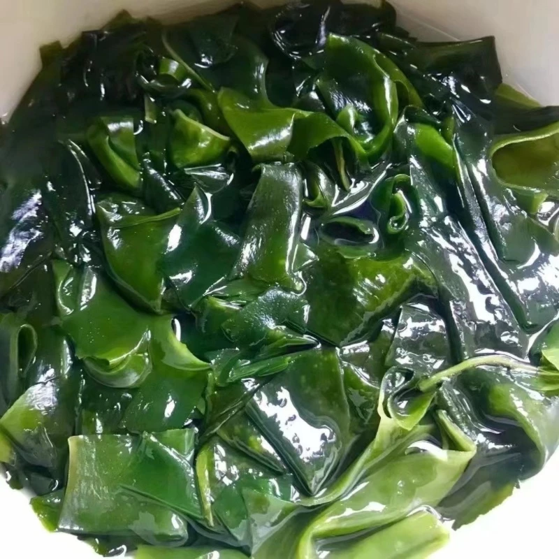 สาหร่ายวากาเมะแห้ง Dried Wakame Seaweed thumbnail 8