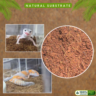 [ส่งด่วน] Coco Peat 2L ขุยมะพร้าวปลอดสารพิษ เป็นมิตรต่อสัตว์เลี้ยง เก็บกลิ่น ทำความสะอาดง่าย