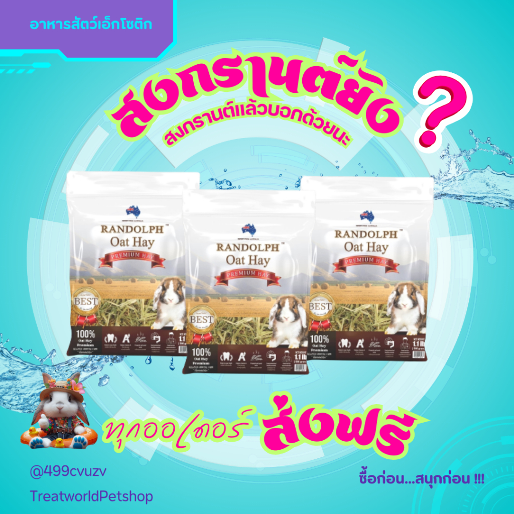 (3ถุง) ลด 12 % Treat_World หญ้าโอ๊ตเกรดพรีเมี่ยม 500 กรัม.แบรนด์ Randolph. กลิ่นหอม ช่วยในการขัดฟัน 3 ถุง