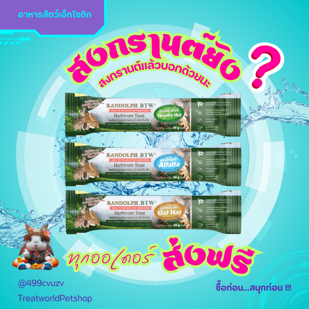 Treat_World ใหม่ !! สแน็คบำรุงสุขภาพสำหรับสัตว์กินพืช,กระต่าย ,ช้าง ,ยีราฟ 30กรัม /แบรนด์ Randolph 3 รสชาติใหม่