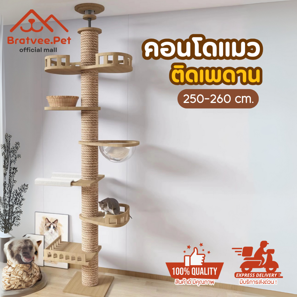 [Bratvee] คอนโดแมวติดเพดาน ไม่ต้องเจาะ ปรับสูงได้ 260–320 cm | คอนโดแมวทรงสูง DIY พร้อมชั้นนอน