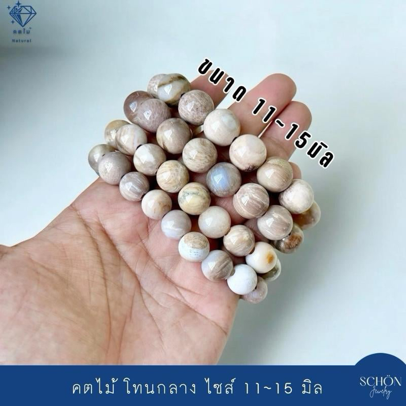 WQ-12  สร้อยข้อมือฟอสซิลไม้กลายเป็นหิน กำไลคตไม้ 12-15มิล โดยประมาณ พุทธคุณสูง คตไม้สัก สีเข้มขลังพลังสูง กำไลหินมงคล ราคา ถูกที่สุด ดีลบีเคเค แกลเลอรีภาพที่ 5