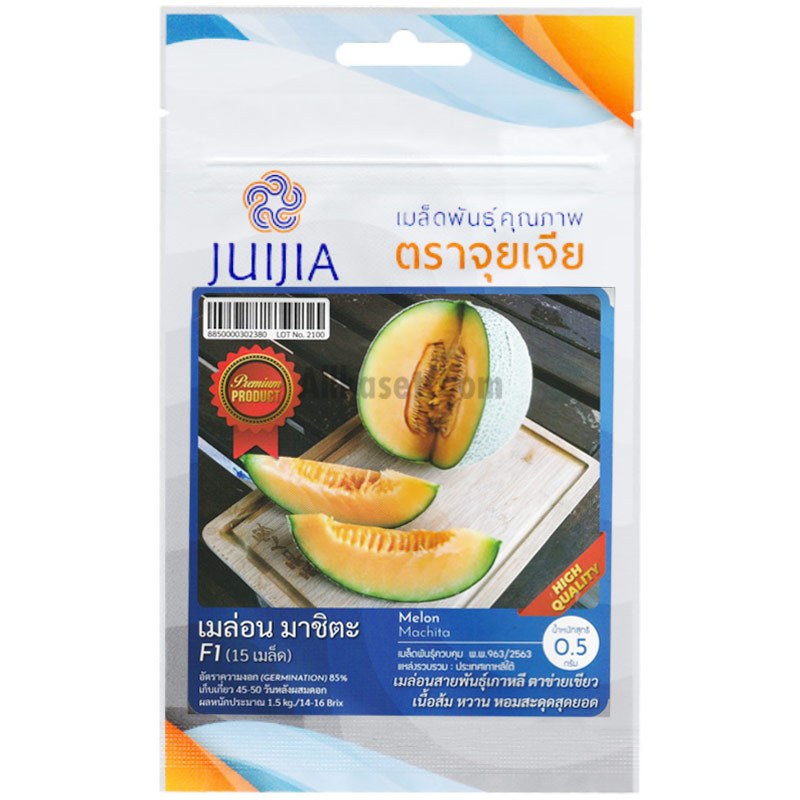 เมล็ดพันธุ์เมล่อน มาชิตะ ตราจุยเจีย