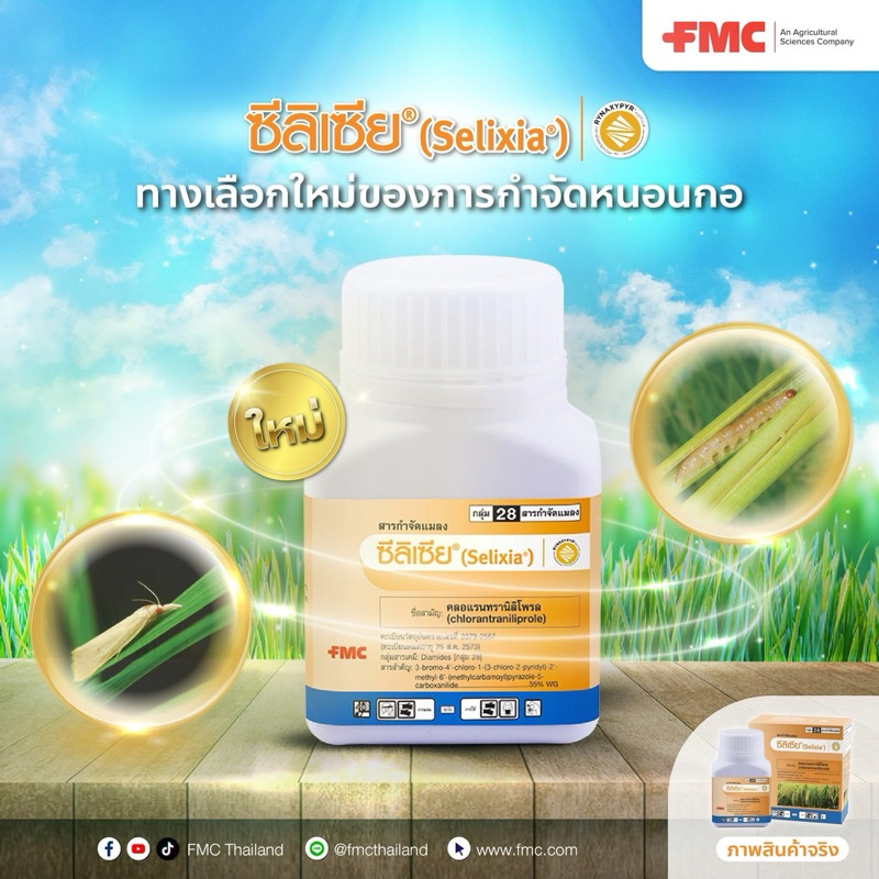 ซีลิเซีย ขนาด 50 กรัม สารคลอแรนทรานิลิโพล 35%WG กำจัดหนอนกอ ในนาข้าว ฉีดได้ 5ไร่ บริษัท FMC