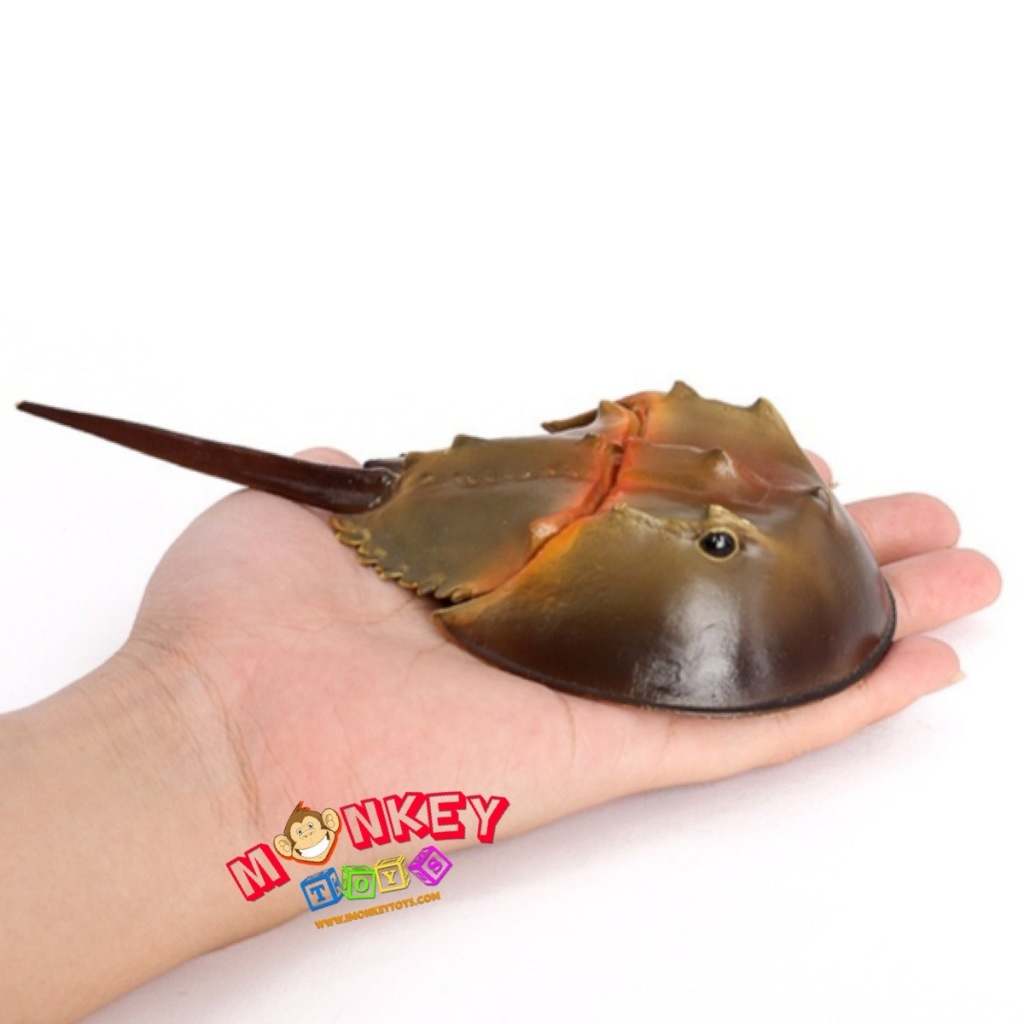Monkey Toys โมเดลสัตว์ Horseshoe Crab แมงดา ทะเล เขียว ขนาด 16.00 CM (จากหาดใหญ่)