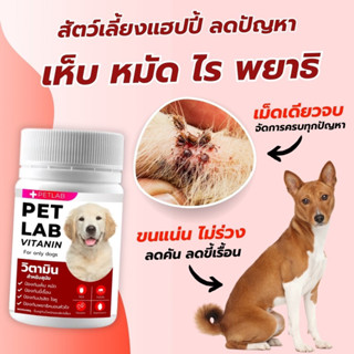 PET LAB เสริมอาหารสุนัข ดูแลผิวสุนัข จัดการเห็บหมัด ป้องกันเ…