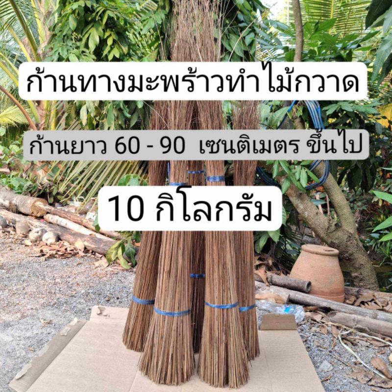 ก้านทางมะพร้าว ก้านทำไม้กวาดทางมะพร้าว ยาว 60-90 เซนติเมตรขึ้นไป น้ำหนัก 10 กิโลกรัม