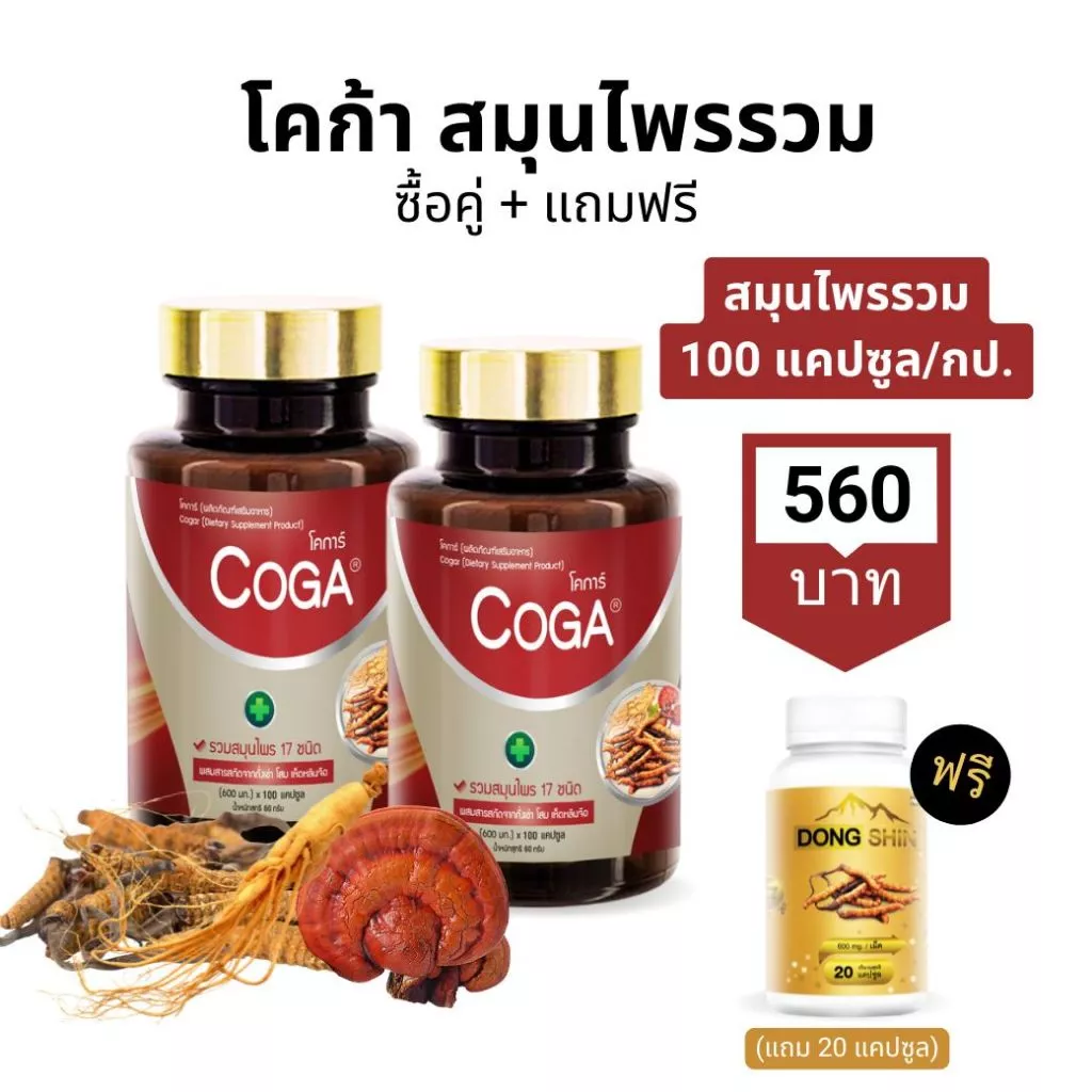 Coga (ซื้อคู่) 100เม็ด/กป. สมุนไพรรวม 17 ชนิด วิตามิน อาหารเสริม ถั่งเช่า โสม หลินจือ โคก้า