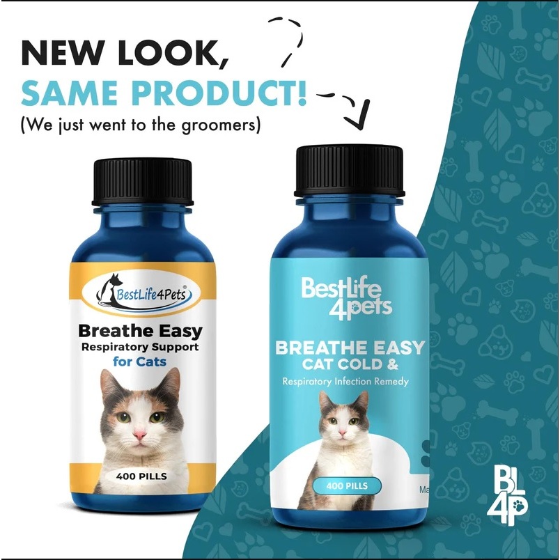 รูปภาพ 3