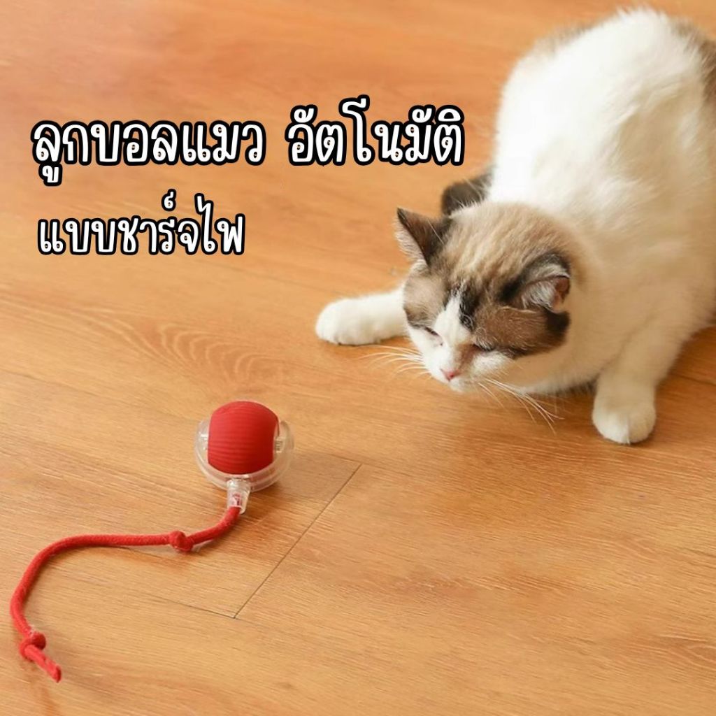 ลูกบอลแมว อัตโนมัติ ชาร์ตแบตได้ ของเล่นแมว หมุนได้ ของเล่นแมวโต้ตอบแมว