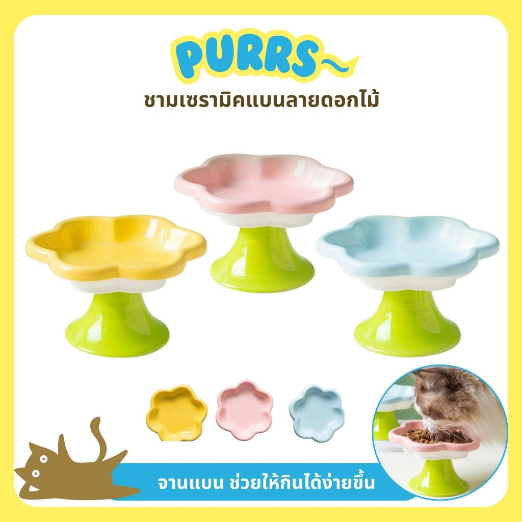 [ส่งฟรี] Purrs ชามแมว ชามเซรามิคลายดอกไม้ ชามเบน ชามอาหารแมว อาหารเปียก