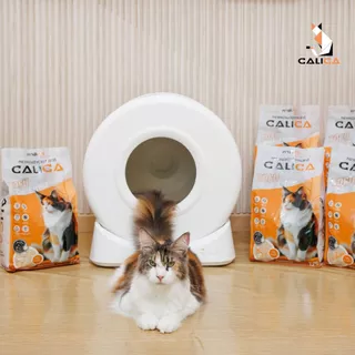 [10L] CALICA คาลิก้า ทรายแมวเต้าหู้ POWER BEAD นวัตกรรมขจัดกลิ่น ขนาด 10 ลิตร ทรายแมว 10 ลิตร