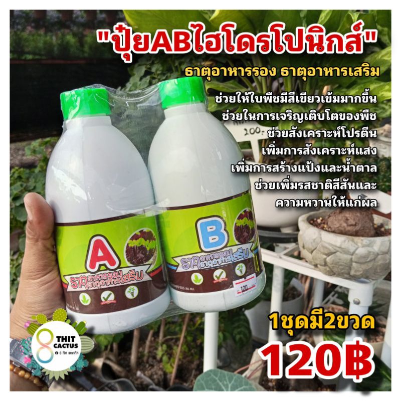 // ปุ๋ยAB ไฮโดรโปนิกส์ // ชนิดน้ำ สูตรเข้มข้น ผักไฮโดรโปนิกส์ ธาตุอาหารรอง ธาตุอาหารเสริม