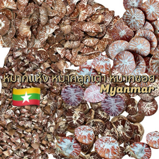 ကွမ်းသီးခြောက်หมากแห้งหมากใหม่ มีหมากลูกเต๋า หมากซอย หมากแว่…