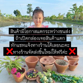 บ้านกระต่าย บ้านแมวน้อย บ้านดินเผาคลายร้อน 10/12 นิ้ว แถมถ้วยอาหารฟรี