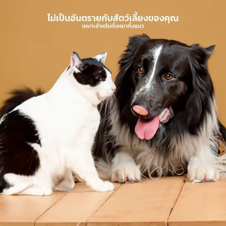 PETLOVE ที่ให้น้ำอัตโนมัติ น้ำพุแมว สุนัข 2.5L เสียงเบา ทำความสะอาดง่าย น้ำพุสัตว์เลี้ยง