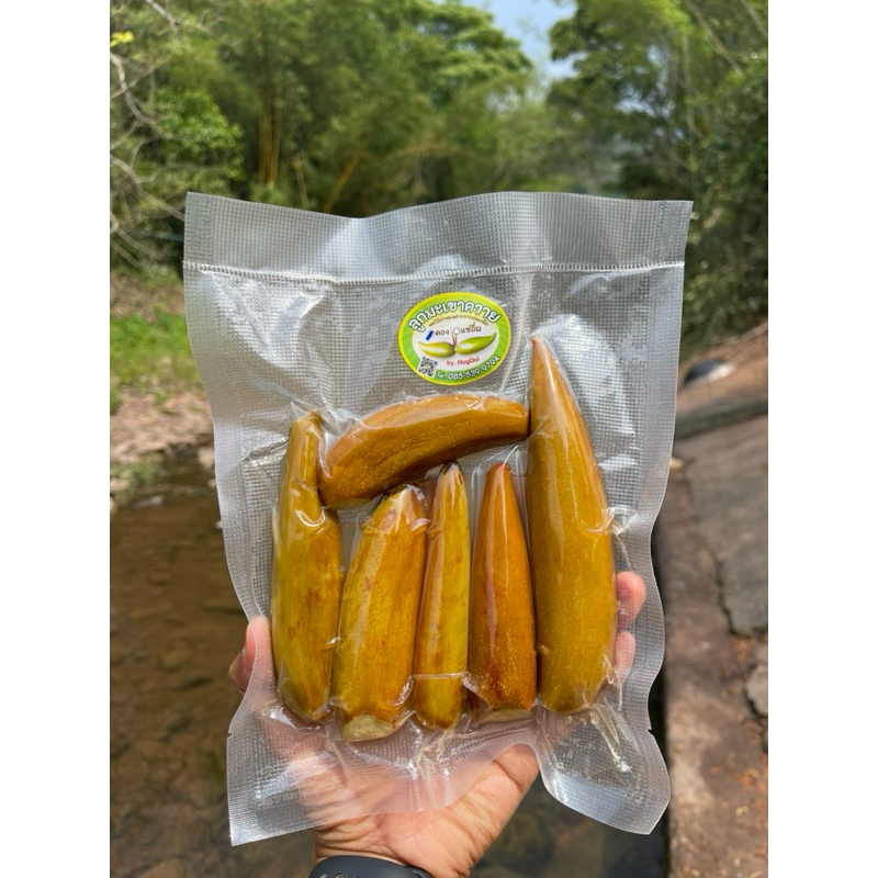 มะเขาควายดองเกลือ ส่งตรงจากอำเภอบ่อเกลือ จังหวัดน่าน (แถมพริกเกลือแสนอร่อยฟรี!!)