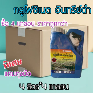 (ยกลัง 4 แกลอล) กลูโฟมซิเนต แอมโมเนียม ตราอินทรีย์ดำขนาด 4 ลิตร(น้ำฟ้า) แถมถุงมือทุกแกลลอล