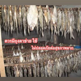 มุ้งตากอาหาร ผ้าตาข่ายสีขาว มี2ขนาด ให้เลือก พร้อมตีนตุ๊กแกกันแมลง 📨 พร้อมส่งในไทย