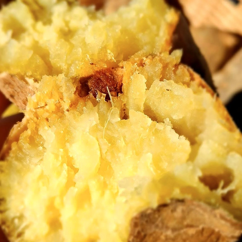 Oishi-Fresh มันหวานญี่ปุ่น คุริโคกาเนะ แบบดิบเนื้อ ครีม อ่อน หวานออรแกนิค