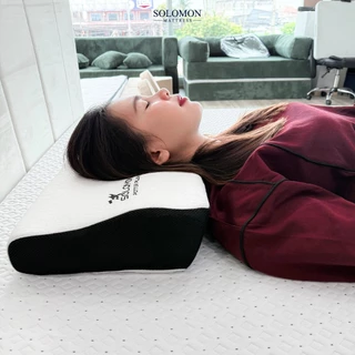 Solomon หมอนเมมโมรี่โฟม รุ่น Potter Pillow รองรับสรีระ ลดปวดคอ หลับสบายตลอดคืน