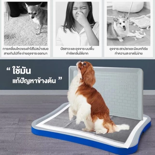 TUBI ห้องน้ำสุนัข แผ่นรองฉี่สุนัข 2 ชั้น ห้องน้ำสุนัขขอบเหลี่ยมพร้อมตะแกรงถาด ก้านถอดได้
