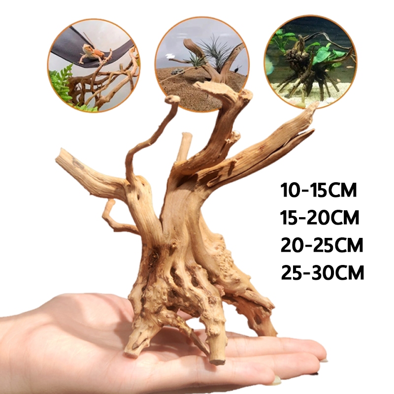 รากไม้ตู้ปลา Driftwood รากไม้ ขอนไม้ตู้ปลา ลอกเปลือกออก ต้มแล้ว ตกแต่งตู้ปลา ปลอดภัย100％