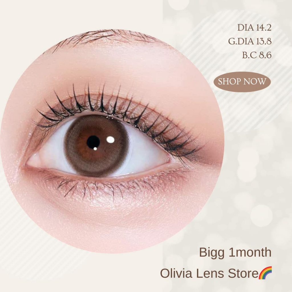 myfipn Bigg Cacao คอนแทคเลนส์เกาหลี คอนแทคเลนส์รายเดือน