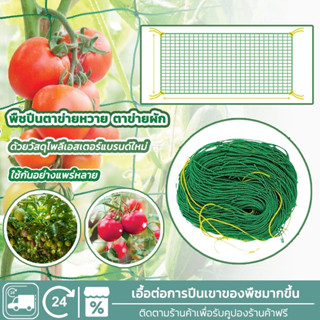 ตาข่ายสำหรับพืชไม้เลื้อย ตาข่ายไม้เลือย ตาข่ายปลูกผัก ค้างไม…
