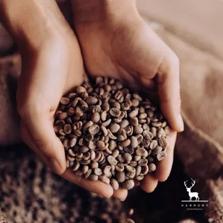 Sirinya Honey Joyful : Harmony coffee เมล็ดกาแฟคั่วอ่อน