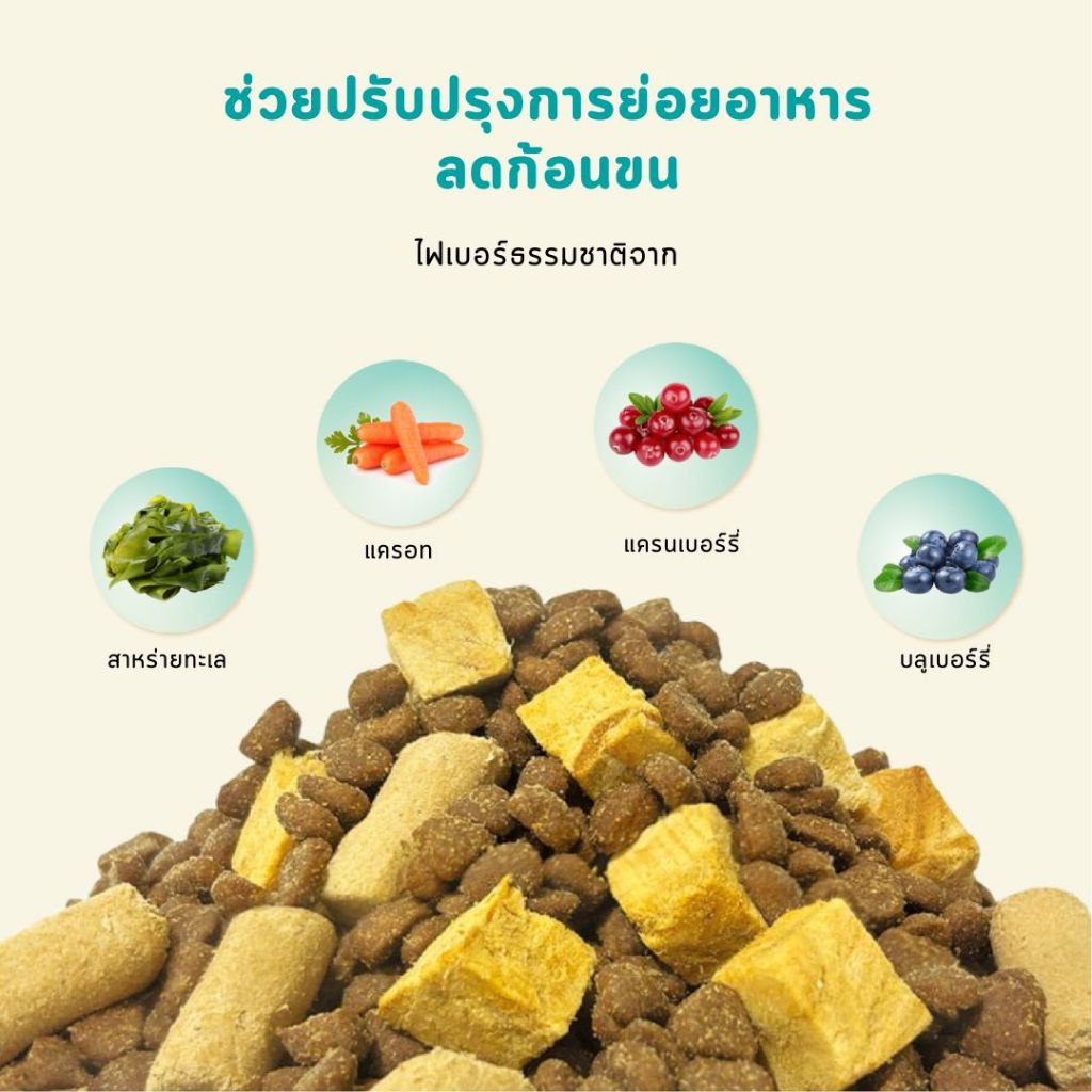 [LIVE] Bite Of Wild F42 ซอง 3กก สูตรปลา 6 ชนิด ปราศจากธัญพืช สำหรับแมวทุกช่วงวัย - รูปที่ 6