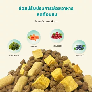 Bite Of Wild F42 ซอง 2กก สูตรปลา 6 ชนิด ปราศจากธัญพืช สำหรับแมวทุกช่วงวัย