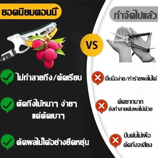 🍊ไม่ต้องปีนต้นไม้อีกต่อไป🌲ตัดกิ่งไม้สูง กรรไกรตัดกิ่งไม้สูง กรรไกรตัดกิ่งด้ามยาว 7M กิ่งไม้ การตัดที่เร็ว