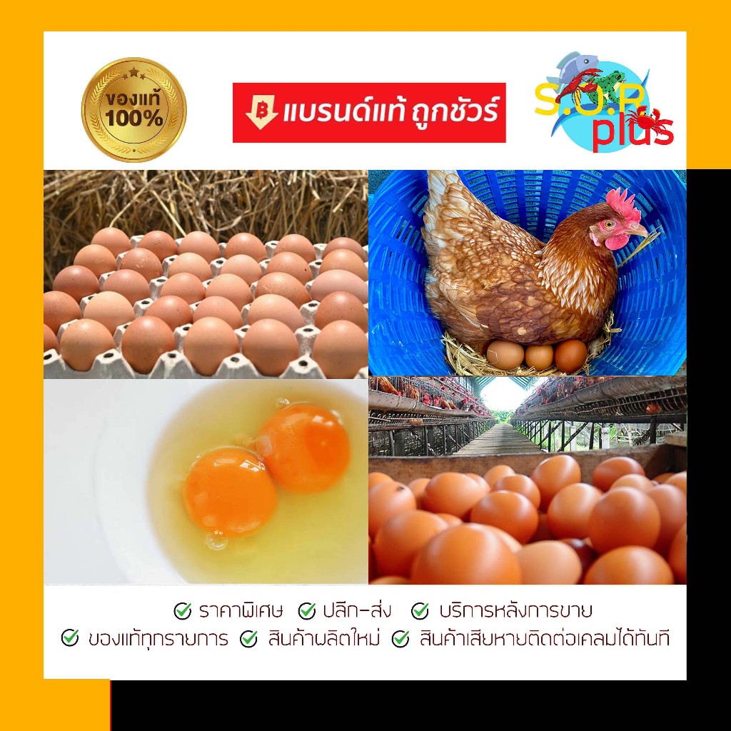 ส่งฟรี✅💛เร่งกระตุ้นสีเหลืองปลาดุก🧡ส้ม เข้มข้น เยลโล่ว พลัส1000 🟡เร่งสีเหลืองเนื้อปลาดุก  สร้างไข่แดงสดในไก่ เป็ด - รูปที่ 3
