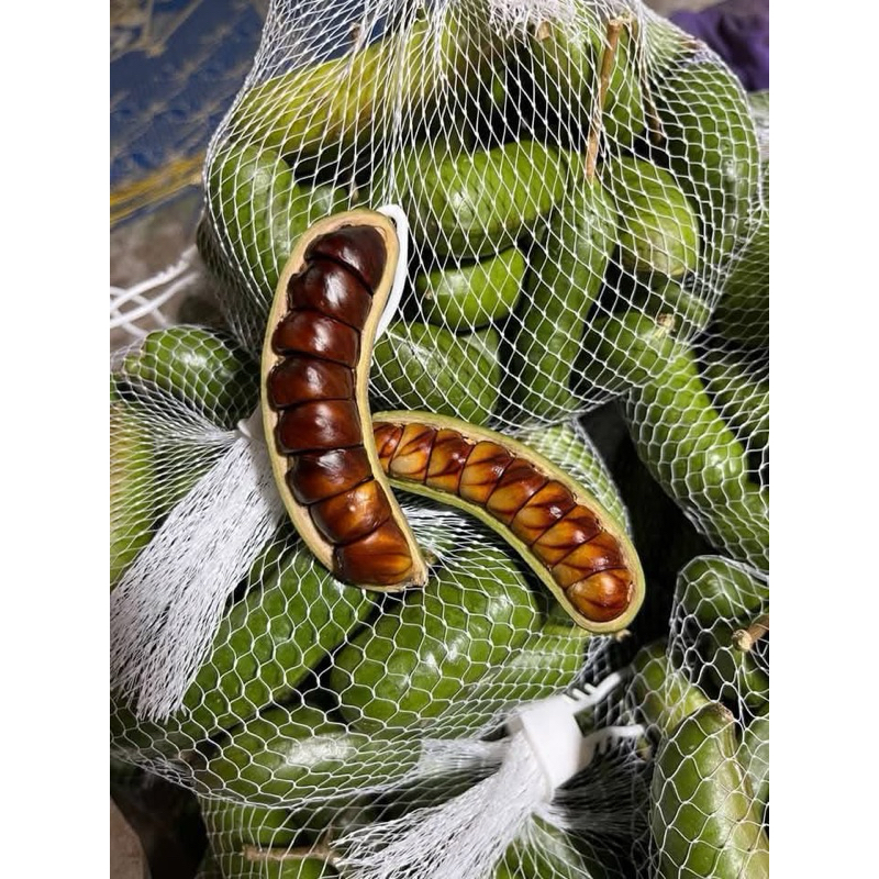 เนียงนกสด 1kg ส่งตรงจากภาคใต้