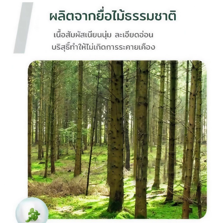 (2 หิ้ว 10 ห่อ) ทิชชู่ Inspire ใหญ่พิเศษ หนา 2 ชั้น 178 แผ่นลายราชาหมี bear king ใหญ้พิเศษ สะอาด ซึมซับดี ไม่เป็นขุย thumbnail 5