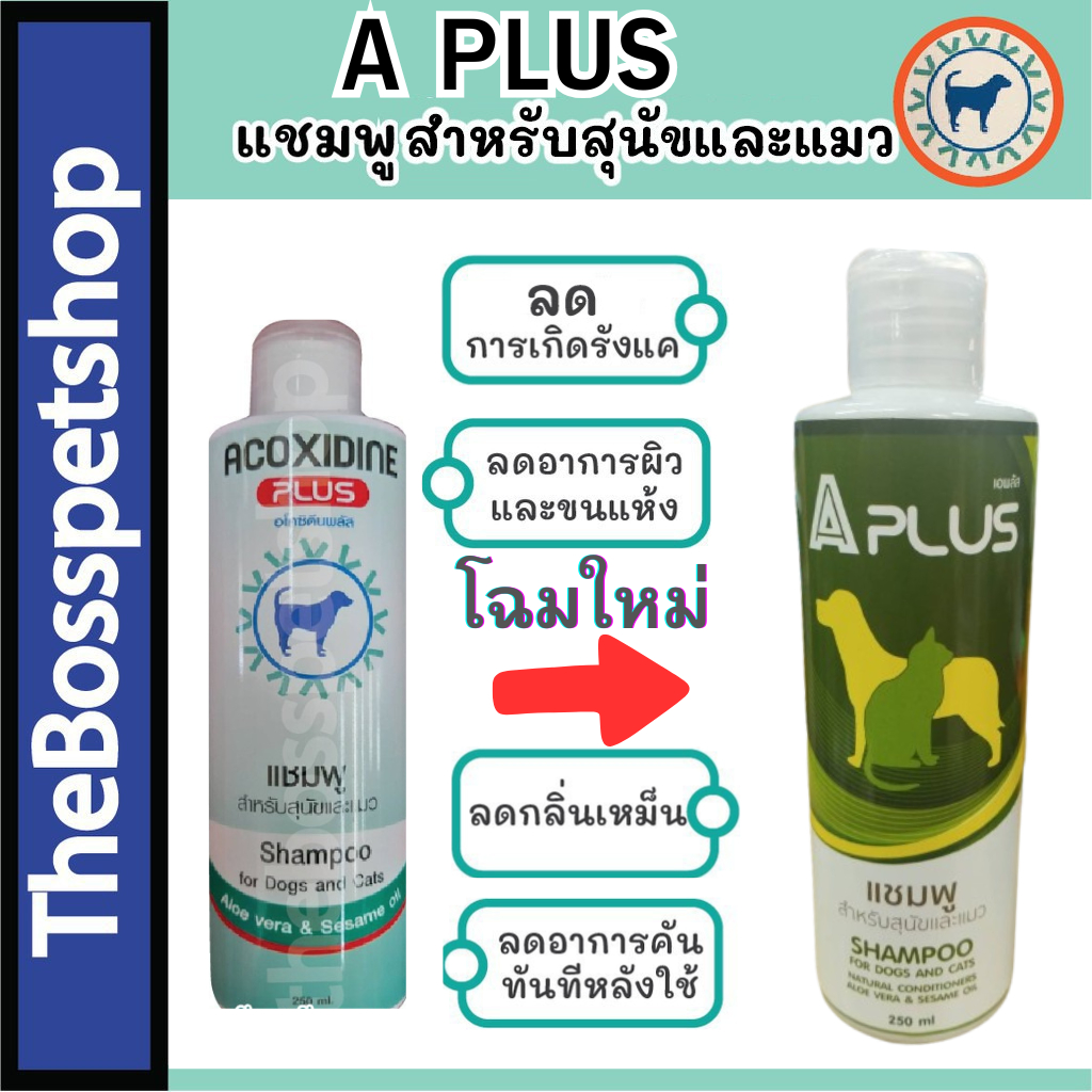 A  Plus  แชมพูสำหรับสุนัขและแมว สำหรับโรคผิวหนัง ยีสต์ เชื้อรา และแบคทีเรีย 250ml  ล่วงอายุ 11/69