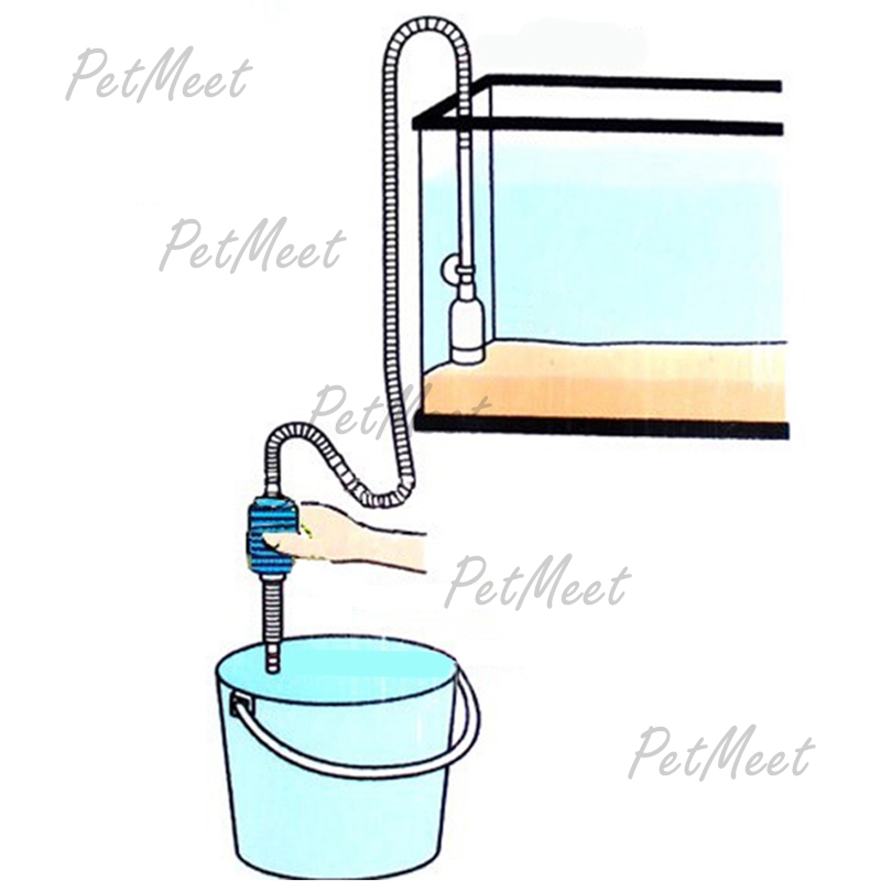 รูปภาพ 2