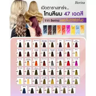 Berina Hair Color เบอริน่า สีย้อมผม ครีมเปลี่ยนสีผม มีให้เลือก 47 สี