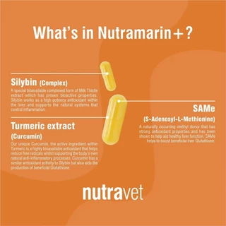 Nutramarin+ For Maintaining Healthy Liver Function ดูแลโรคตับ สำหรับสุนัขและแมว 30แคปซูล เลขทะเบียนอาหารสัตว์ 0208670070