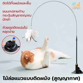 [COD] ไม้ล่อแมว แบบถ้วยดูดสูญญากาศ ของเล่นแมว Cat toy ขนนก ไ…