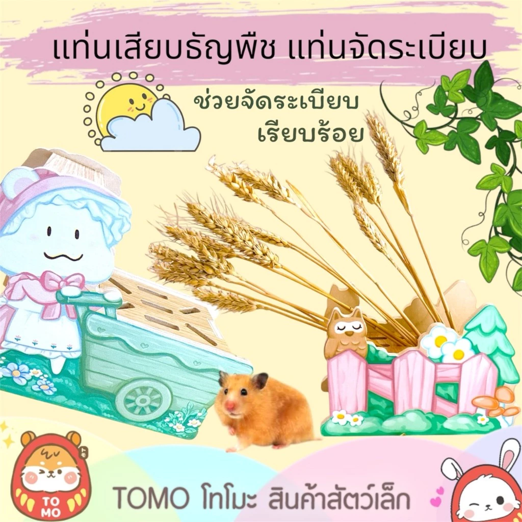 ร้านโทโมะ 💕รวมแท่นเสียบธัญพืช ที่เสียบดอกไม้ ตกแต่งกรง ให้น่ารัก ดูเป็นระเบียบเรียบร้อย เหมาะกับ แฮมสเตอร์