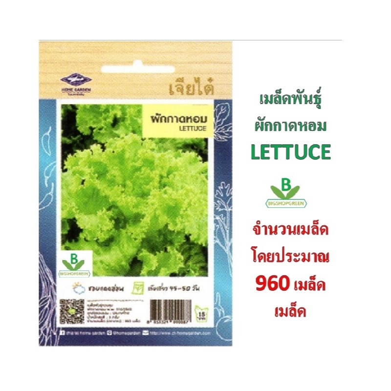 5 ฟรี 1 คละได้ทั้งร้าน เมล็ดพันธุ์ ผักกาดหอม เจียไต๋ เมล็ดพืช เมล็ดผัก เมล็ดพันธุ์ผัก เมล็ดพันธุ์พืช