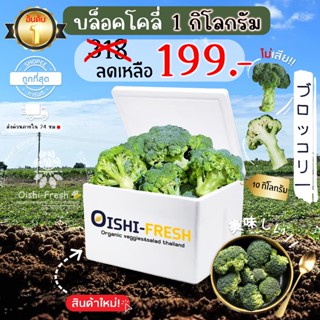 🛒Oishi-Fresh🥬บล็อคโคลี่ ปลอดสารพิษ 1 กก. รสชาติกรอบ สด ใหม่ …